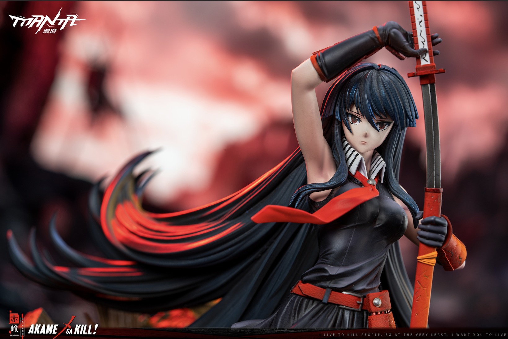 Manta Studio - Akame Akame Ga Kill - Image 5