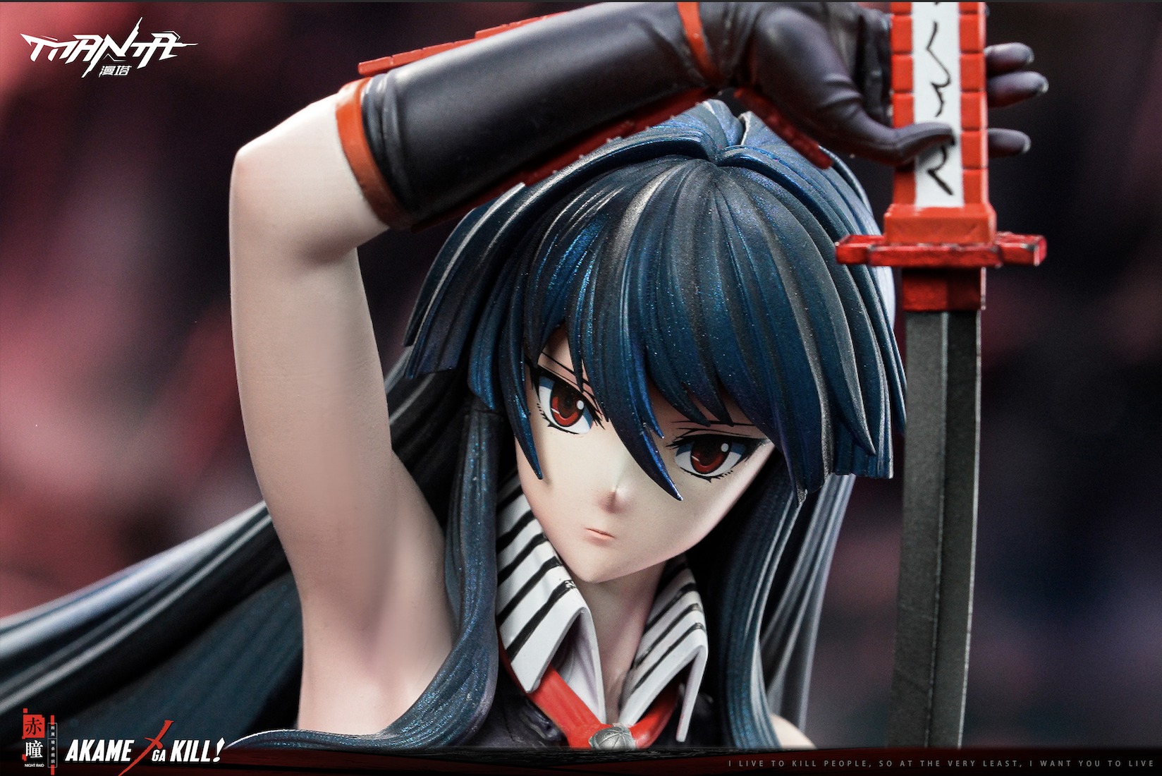 Manta Studio - Akame Akame Ga Kill - Image 6